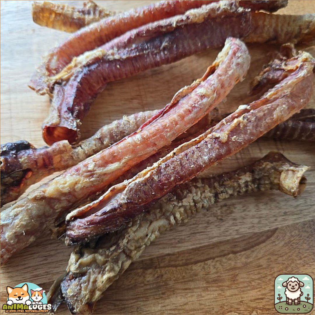 Trachée d’agneau séchée naturelle pour chien – friandise douce à mâcher