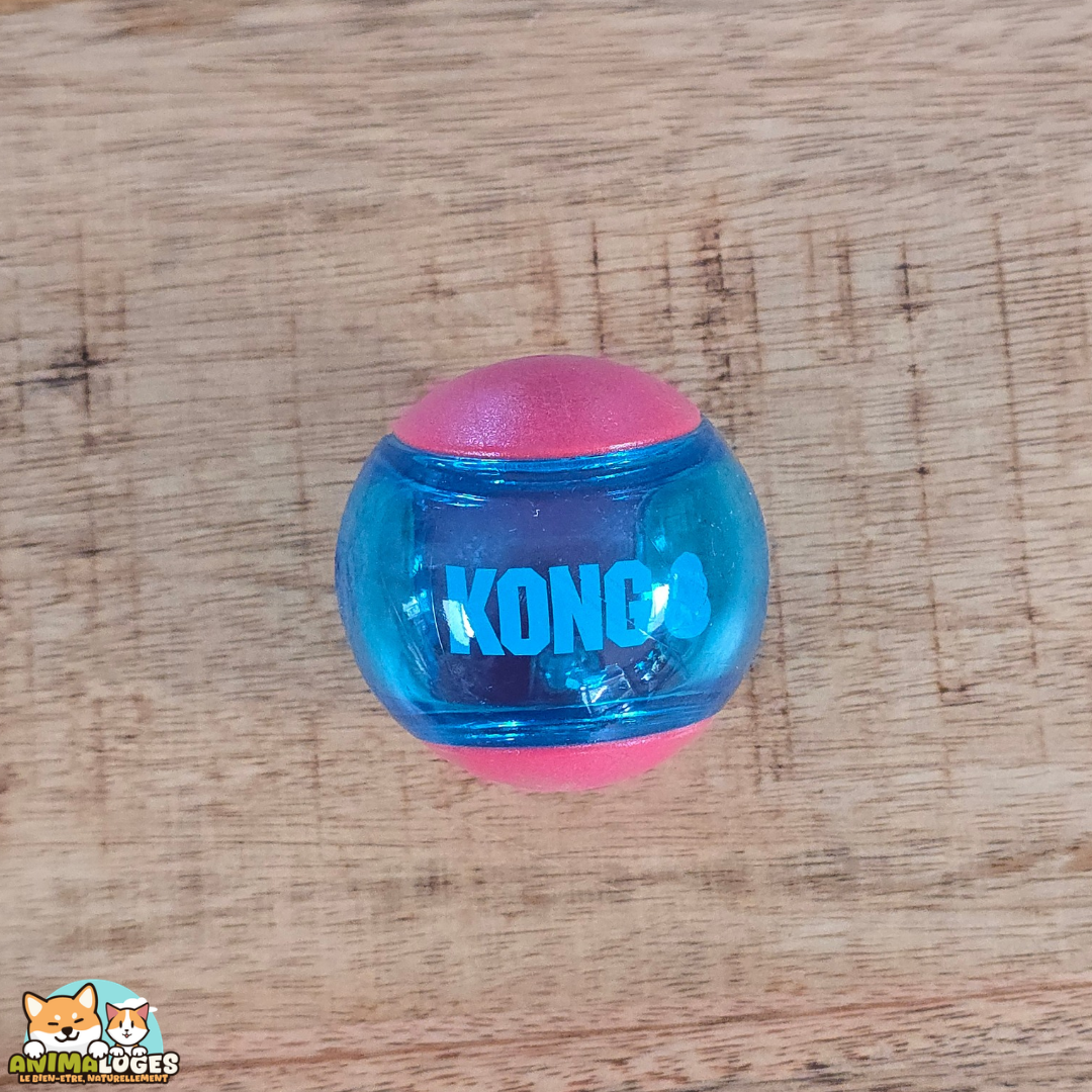 Balles KONG Squeezz rouge et bleu pour chien, jouets rebondissants avec couineur
