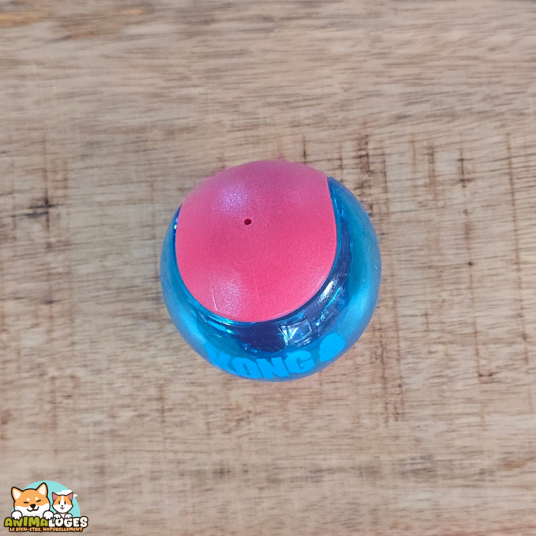 Balles KONG Squeezz rouge et bleu pour chien, jouets rebondissants avec couineur