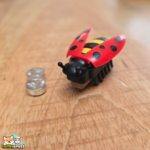 jouet chat Spredda coccinelle rouge