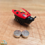 jouet chat Spredda coccinelle rouge