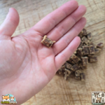 Friandises d’éducation au chevreuil naturelles pour chien