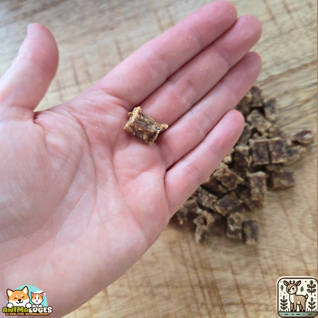 Friandises d’éducation au chevreuil naturelles pour chien