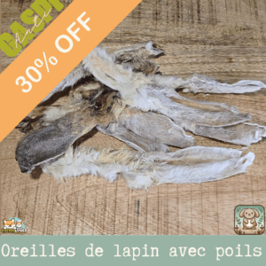 Oreille de lapin avec poil - Anti Gaspi