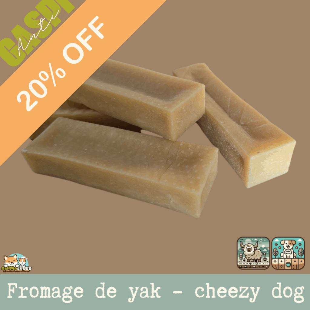 Nos fromage de yak pour chien, cheezy dog, mastication durable et savoureuse
