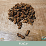 Friandises naturelles moules séchées pour chien et chat