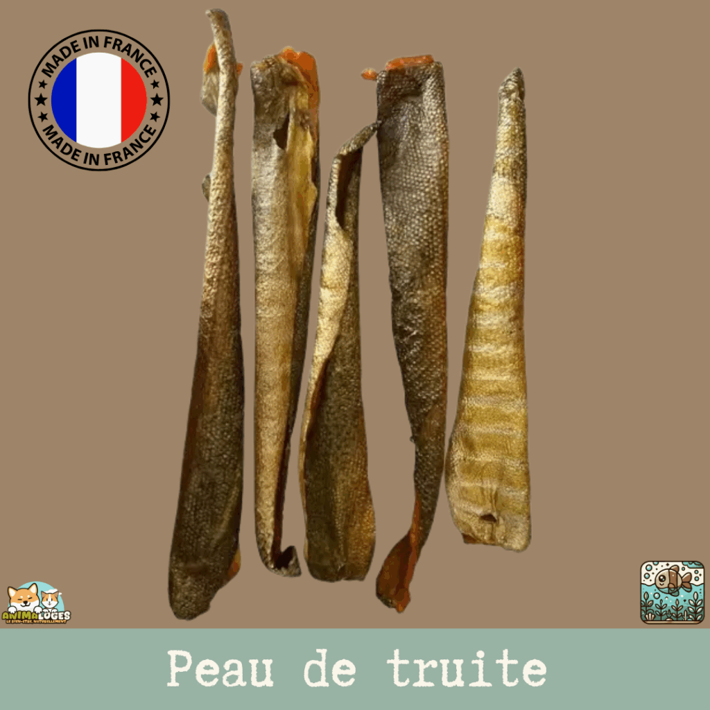 Peaux de truite séchée pour chien – gros plan des morceaux