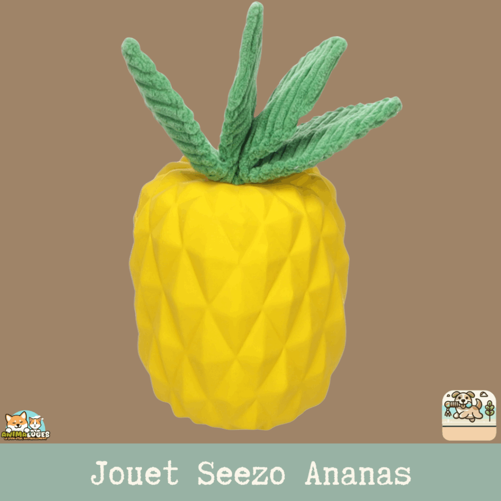 Jouet pour chien Flamingo Seezo Ananas en caoutchouc résistant. Design amusant