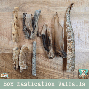 Box de friandises naturelles pour chien, conçue avec l’élevage Des Terres du Valhalla. 100 % naturelle, variée et riche en saveurs.