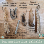 Box de friandises naturelles pour chien, conçue avec l’élevage Des Terres du Valhalla. 100 % naturelle, variée et riche en saveurs.