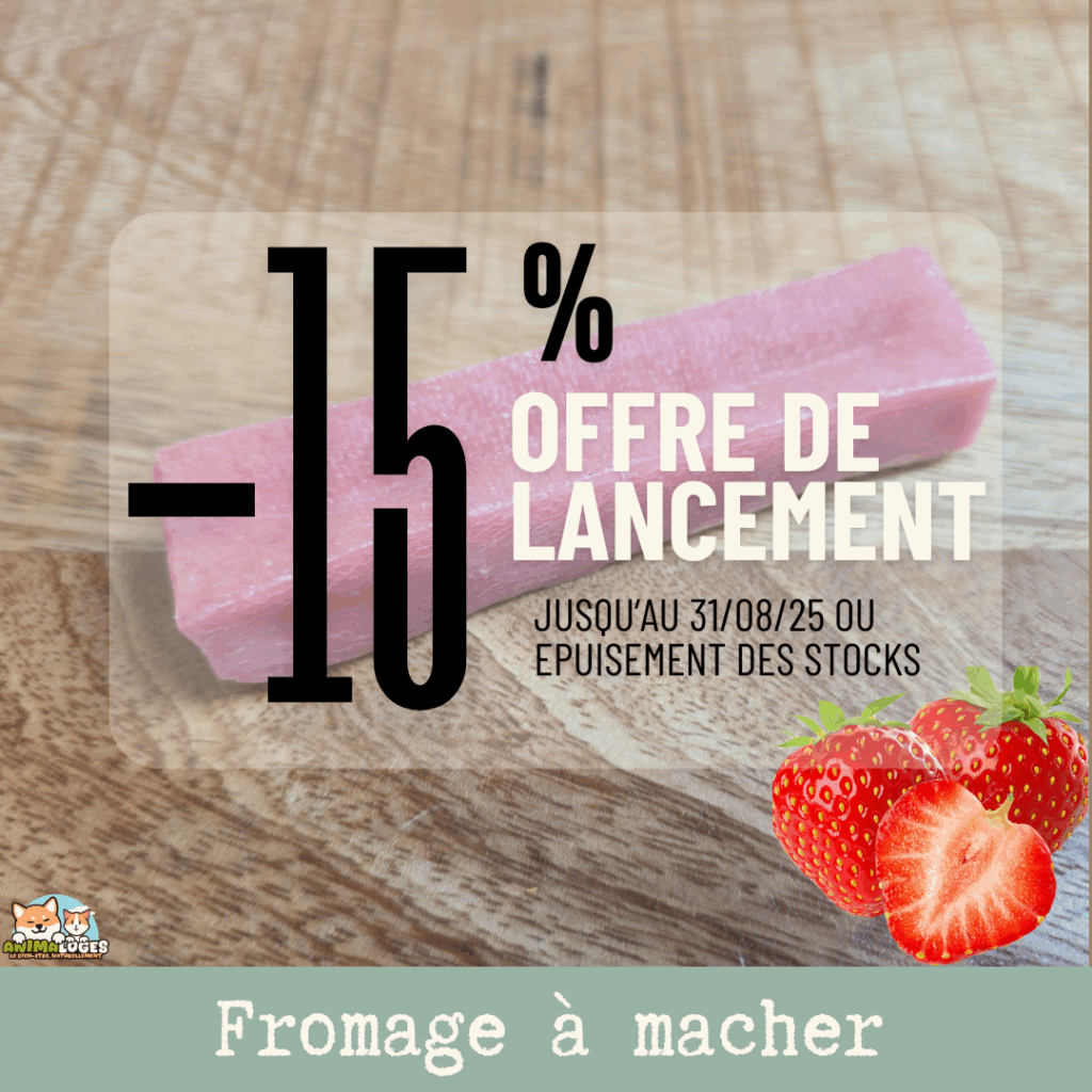 Barre de fromage à la fraise – friandise naturelle à mâcher pour chien