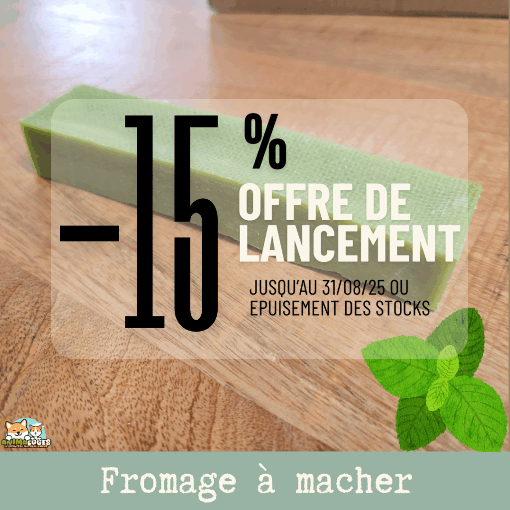 Barre de fromage à la menthe – friandise naturelle à mâcher pour chien