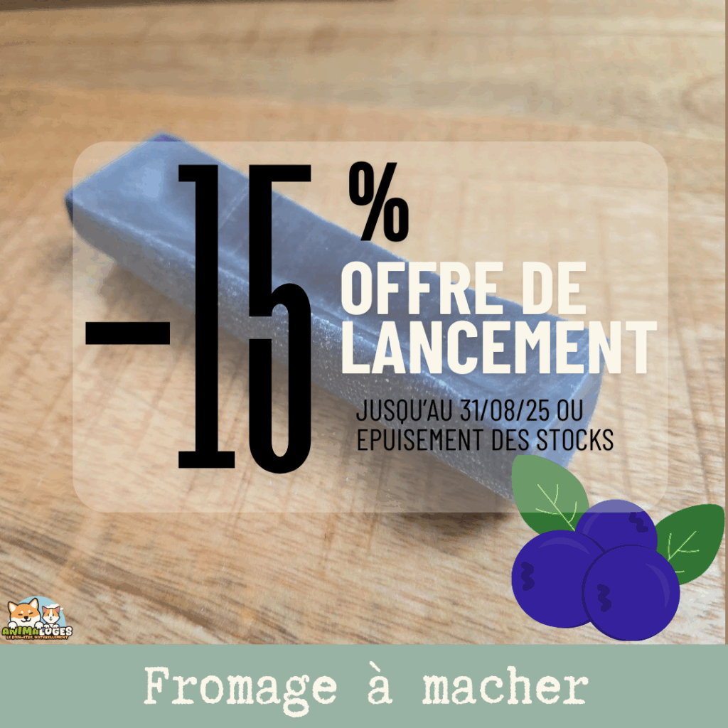 Barre de fromage à la myrtille – friandise naturelle à mâcher pour chien