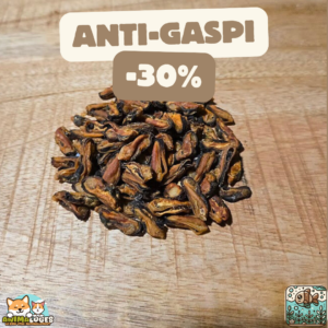 Anti Gaspi - Moules séchées