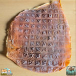 Calamar séché naturel pour chien – friandise marine à mâcher