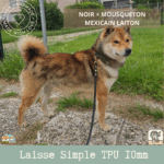 laisse SIMPLE en sangle TPU 10mm et 4m20 de long fabriqué à la main.