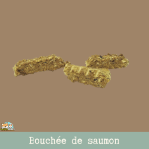 Bouchée de saumon