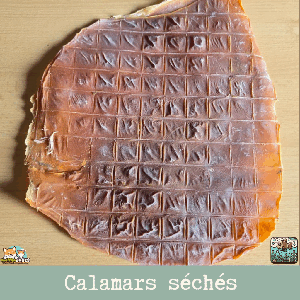 calamars séchés naturels pour chien et chat
