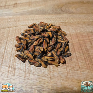 Moules séchées naturelles pour chien – friandises riches en oméga-3