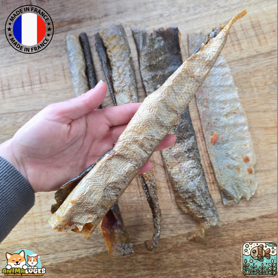 Peaux de truite naturelles origine France pour chien – friandise à mâcher