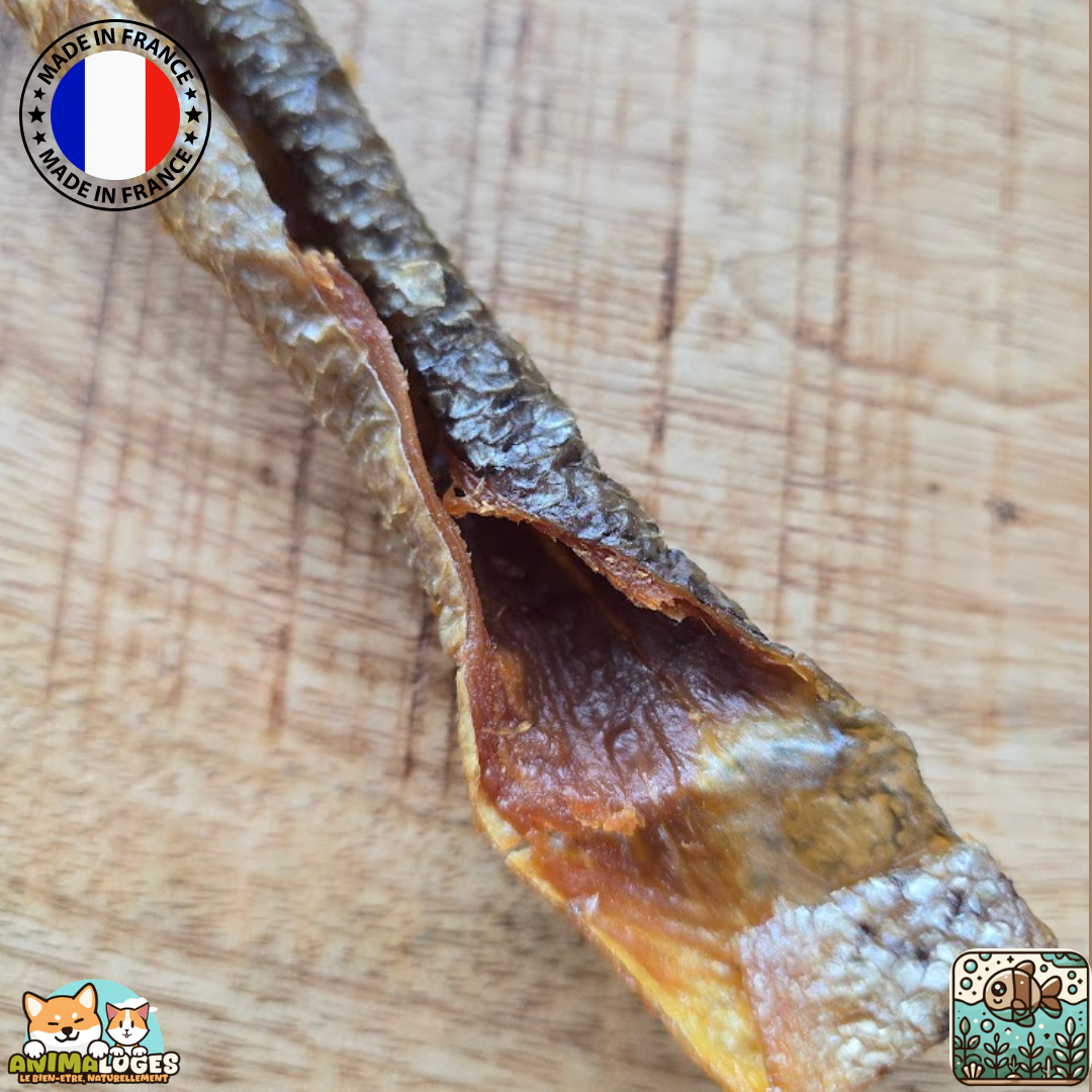 Peaux de truite naturelles origine France pour chien – friandise à mâcher
