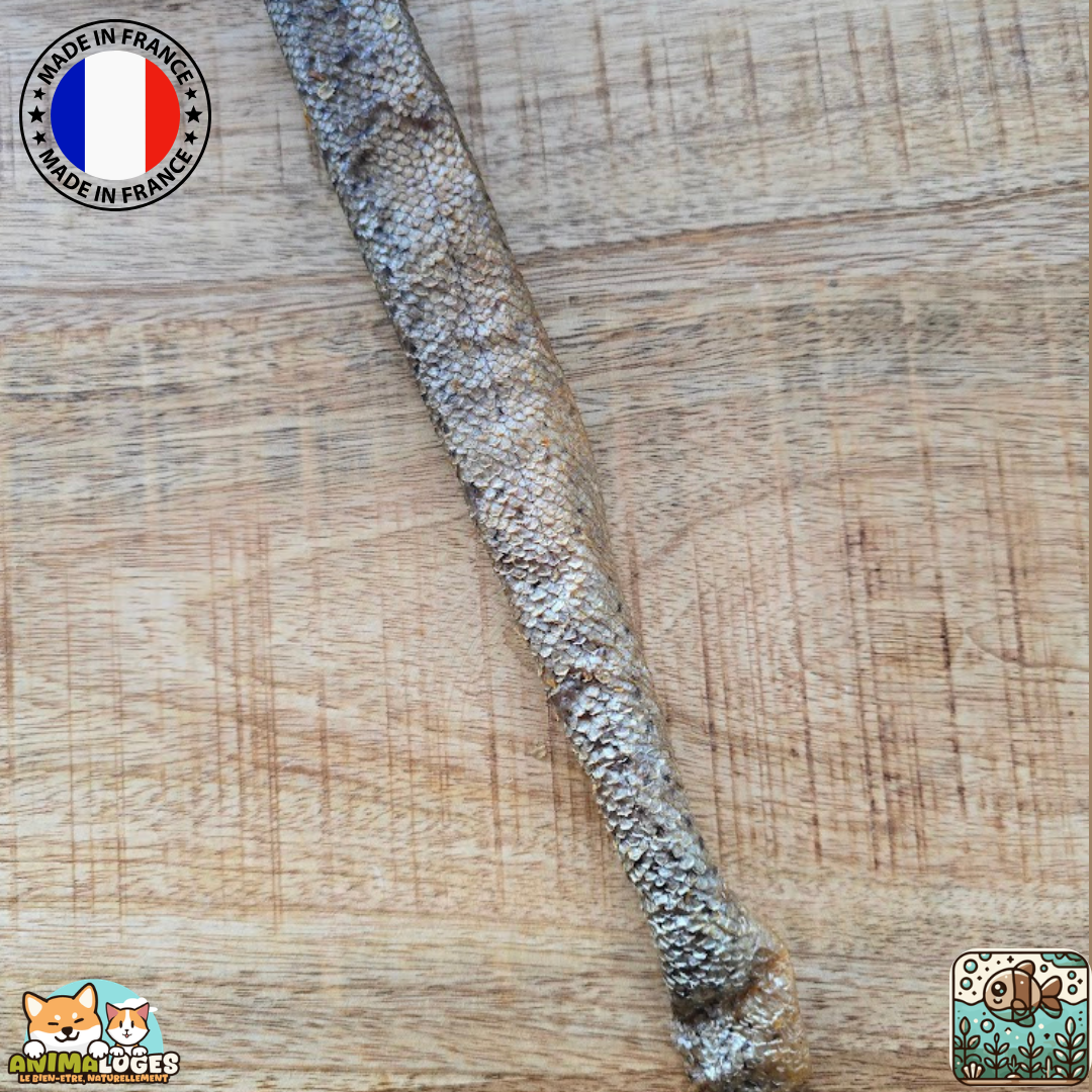 Peaux de truite naturelles origine France pour chien – friandise à mâcher