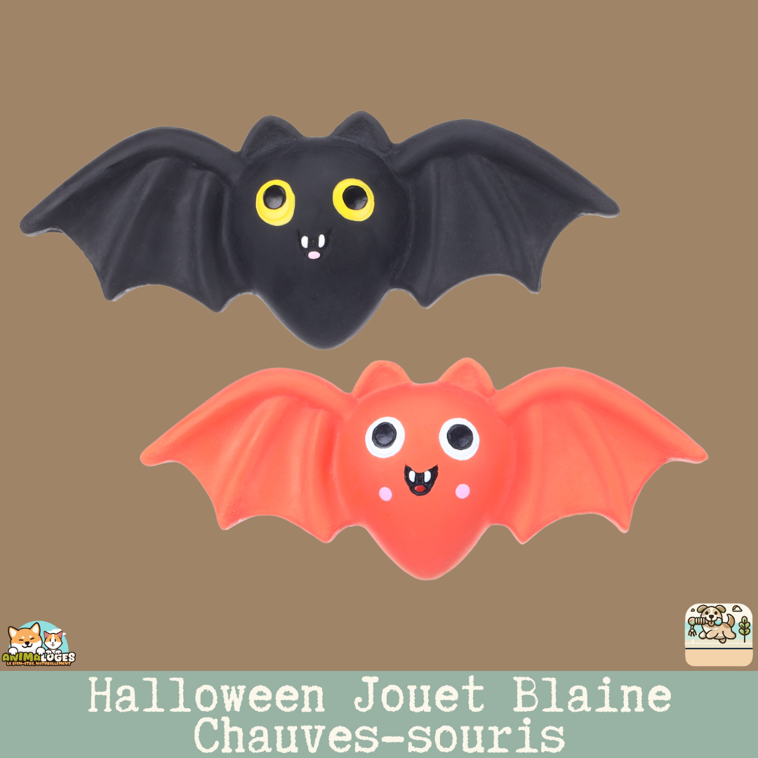 Jouet Chauves-souris Blaine Halloween – couleur noire et orange