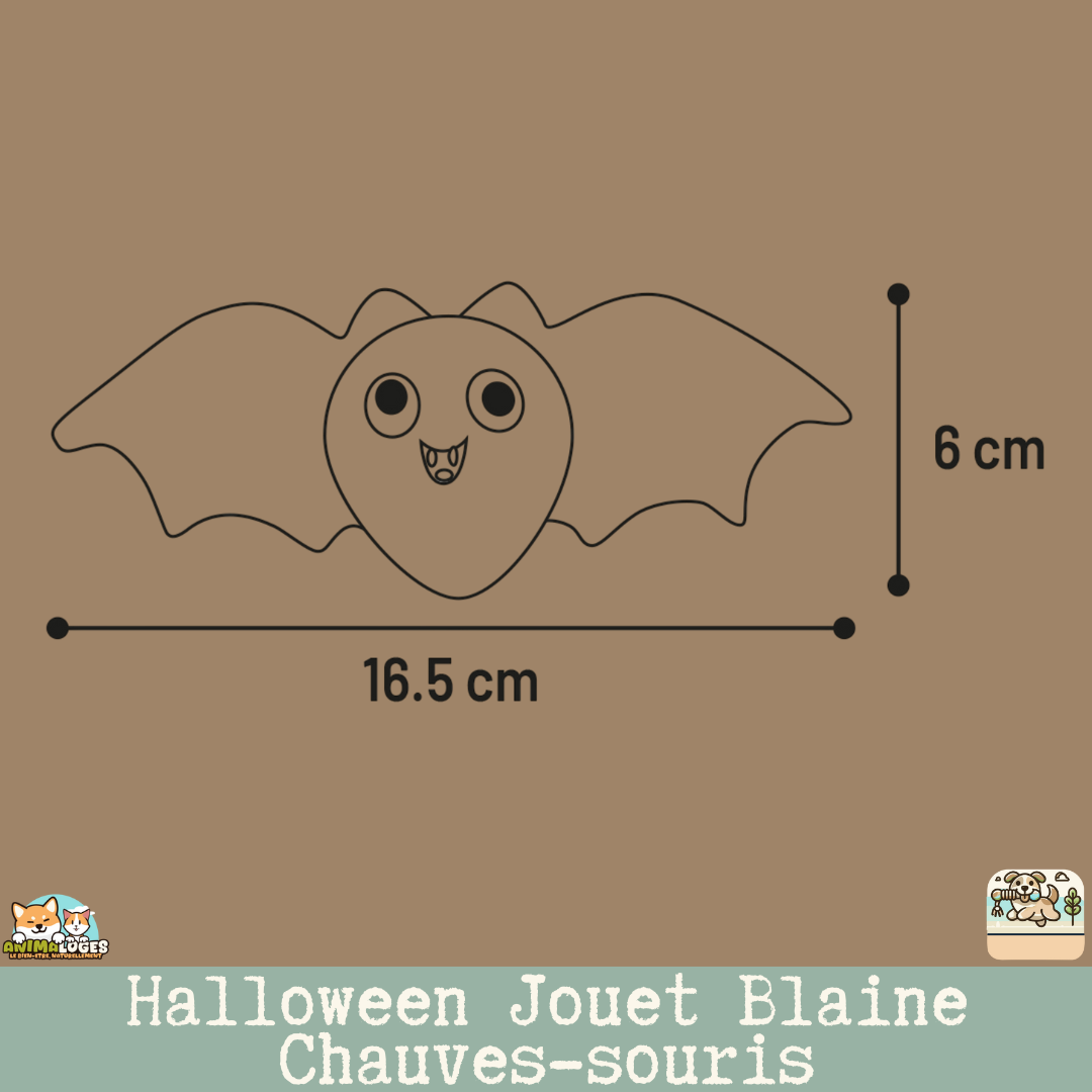 Jouet Chauves-souris Blaine Halloween – taille