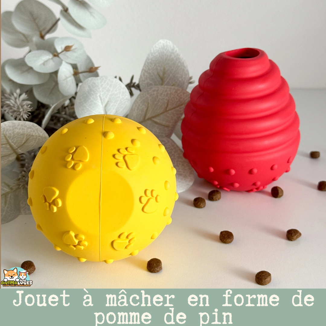 Jouet « Pinecone Snack Toy » pour chien – distribuer friandises & stimulation mentale