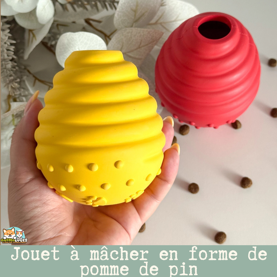 Jouet « Pinecone Snack Toy » pour chien – distribuer friandises & stimulation mentale