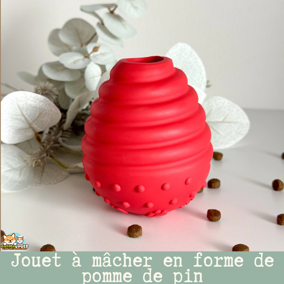 Jouet « Pinecone Snack Toy » pour chien – distribuer friandises & stimulation mentale