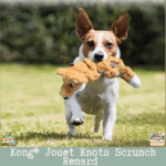 Chien jouant avec le jouet Kong Knots Scrunch renard orange