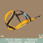 Harnais Inlandsis Polar Quest – harnais X-Back sportif pour canicross & traction