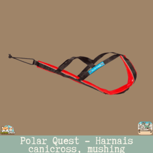 Harnais Inlandsis Polar Quest – harnais X-Back sportif pour canicross & traction