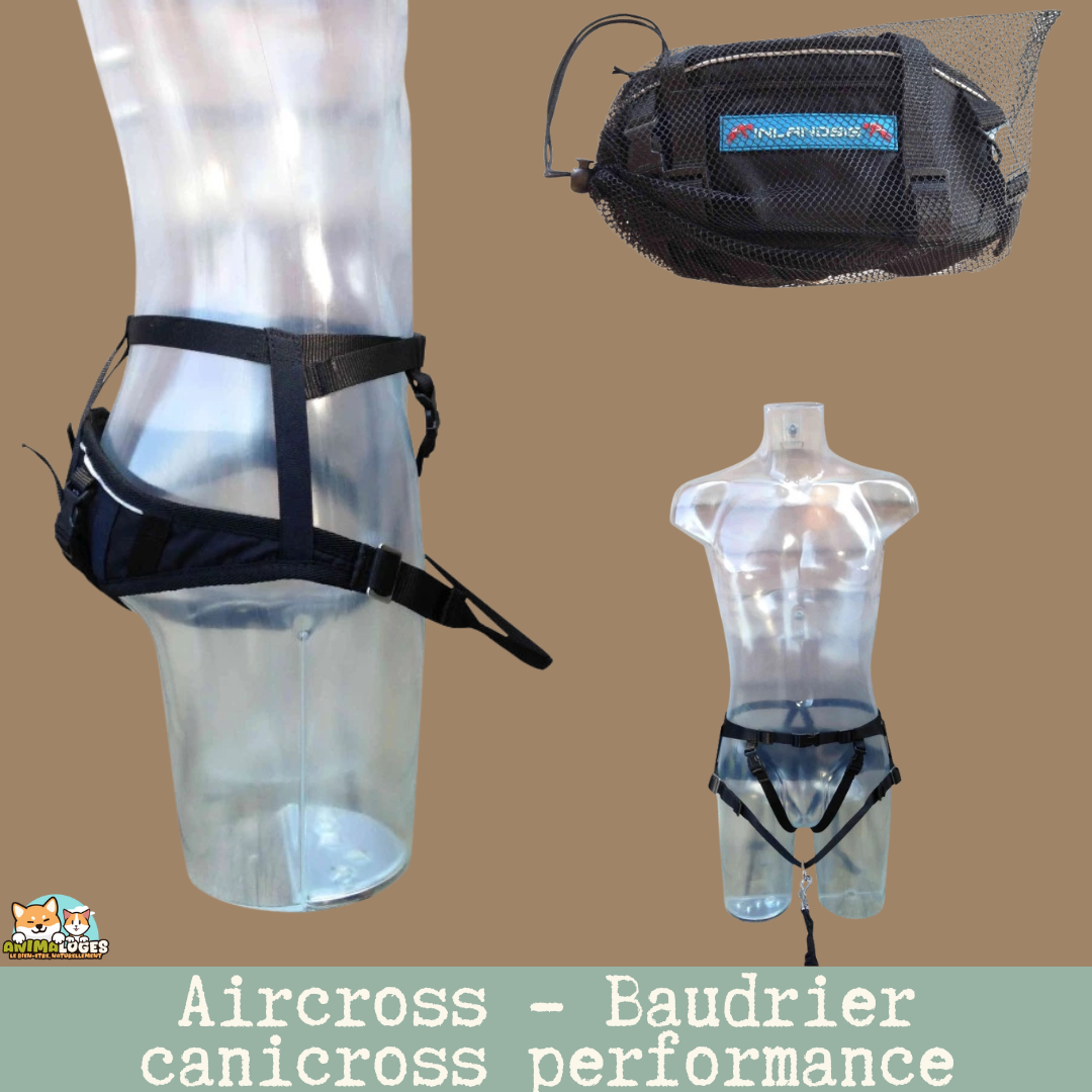 Baudrier Inlandsis Aircross ceinture canicross réglable performance.