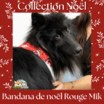 Bandana de Noël Mik Rouge de Flamingo drapé autour du cou d’un chien