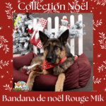 Bandana de Noël Mik Rouge de Flamingo drapé autour du cou d’un chien