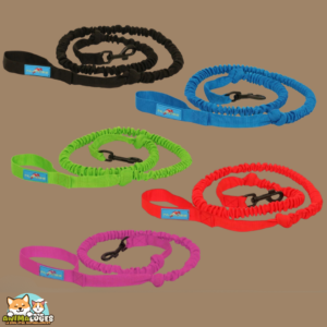 Laisse cani-VTT Inlandsis Bikejor Leash amortisseur chien ≥ 15kg.