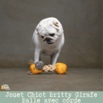 Chiot jouant avec le jouet Girafe Britty Balle + corde