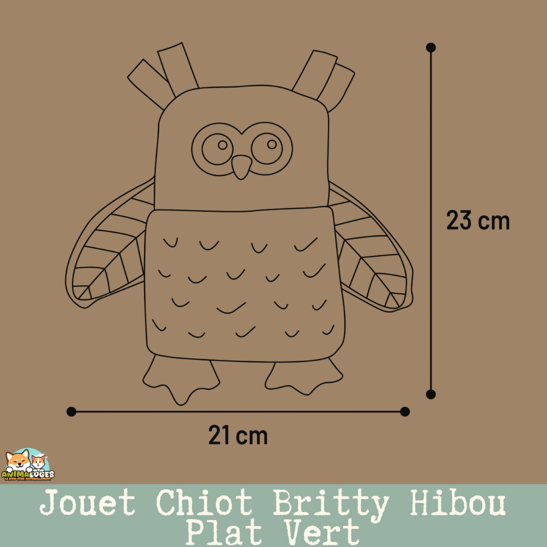 Jouet Chiot Britty Hibou Plat Vert – vue de face