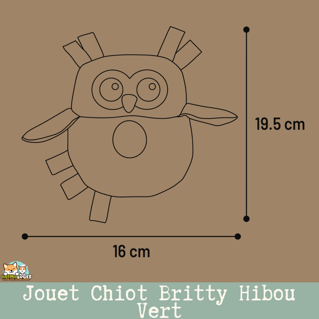 Jouet chiot Britty Hibou Vert – vue de face