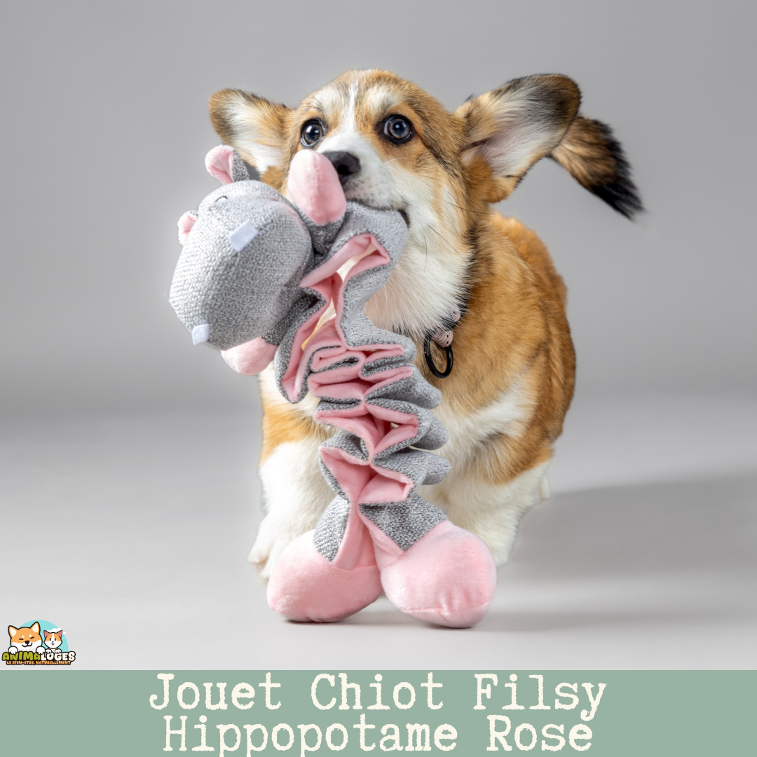 Jouet Chiot Filsy Hippopotame Rose – vue de face