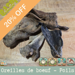 Des oreilles de bœuf naturelle avec poil, idéale pour la mastication et l’hygiène dentaire des chiens.