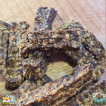 Bouchées de truite séchées naturelles pour chien – friandise au poisson