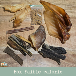 Box mix friandises séchées faibles en calories pour chien – assortiment sain