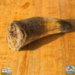 Corne de bœuf naturelle pour chien pleine, plusieurs tailles disponible – friandise à mâcher durable