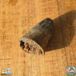 Corne de bœuf naturelle pour chien pleine, plusieurs tailles disponible – friandise à mâcher durable