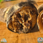 Corne de bœuf naturelle pour chien pleine, plusieurs tailles disponible – friandise à mâcher durable