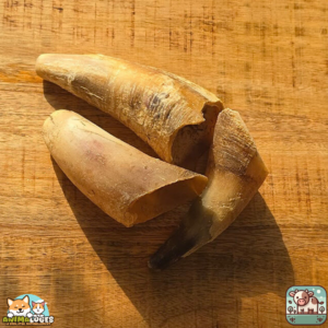 Corne de bœuf vide naturelle pour chien – friandise à mâcher longue durée