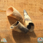 Corne de bœuf vide naturelle pour chien – friandise à mâcher longue durée